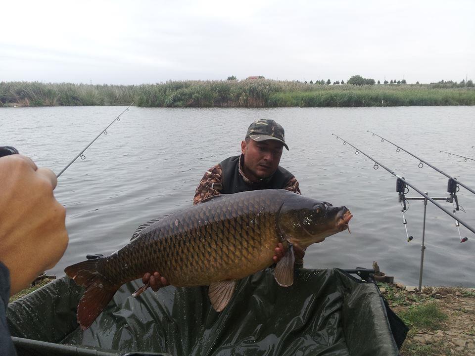 PILHAN - 13761865781007322377321414175165n.jpg